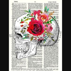 Skull Anatomy Chic Red Rose Dictionary Art Print